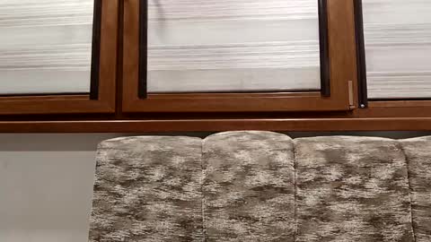 Snapshot of pamid215 chatting on January 14, 8:15 pm angel hris online show from January 14, 8:15 pm