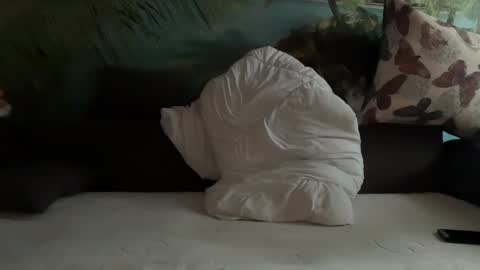 Porn online show from December 7, 8:33 am