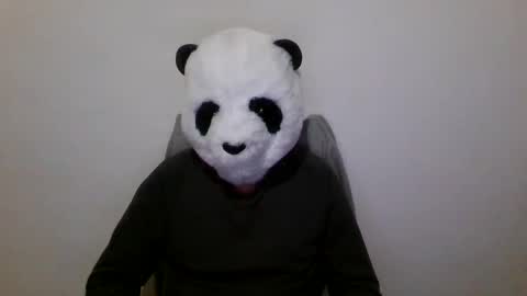 Panda online show from December 7, 7:10 pm