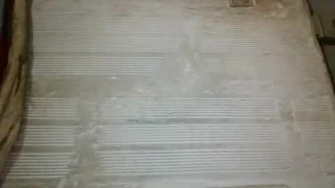 panthers_room online show from October 2, 8:54 am