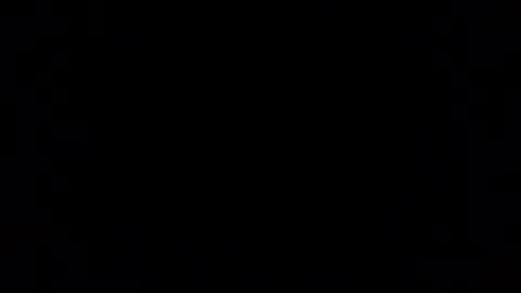 pantz online show from November 17, 12:44 pm