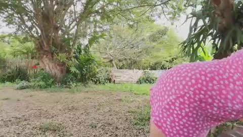 paoguerrax354 online show from April 19, 6:10 pm