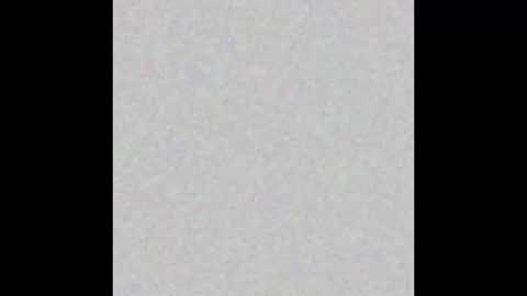 Paola Williams online show from January 22, 9:32 pm