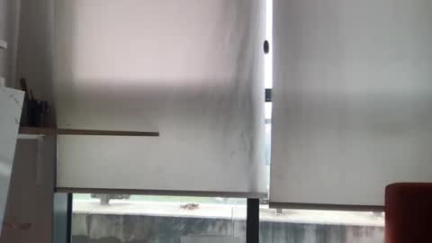 Snapshot of paolo365 chatting on November 19, 11:43 am LaRocca online show from November 19, 11:43 am