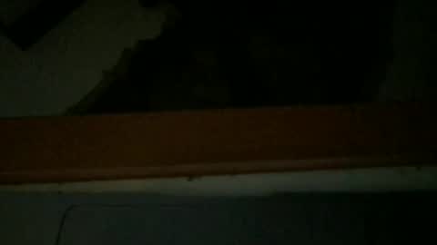 Snapshot of paolo365 chatting on December 20, 3:35 am LaRocca online show from December 20, 3:35 am