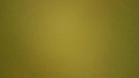 Snapshot of paolo365 chatting on March 14, 10:53 am LaRocca online show from March 14, 10:53 am