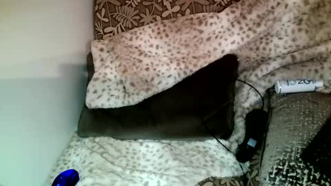 Parlay tellio online show from December 23, 10:33 pm