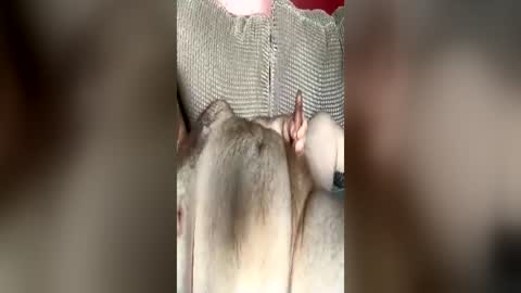 partspusher2448 online show from June 28, 7:42 pm