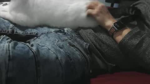 pasexhibe online show from February 1, 3:38 am