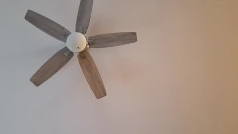 patrick247288 online show from January 12, 9:40 pm