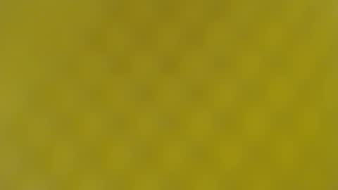 patty squirt87 online show from February 19, 5:49 am