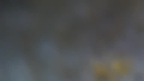 patty squirt87 online show from February 19, 2:51 am