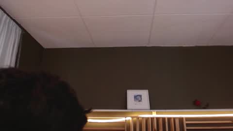 Paul online show from November 13, 1:54 pm