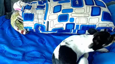 Snapshot of paula_willss chatting on January 6, 12:35 pm paula_willss online show from January 6, 12:35 pm