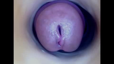 Snapshot of paulainoscente chatting on January 30, 3:11 am Paula 18 Aninhos online show from January 30, 3:11 am