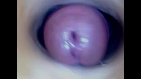 Snapshot of paulainoscente chatting on January 31, 1:43 am Paula 18 Aninhos online show from January 31, 1:43 am