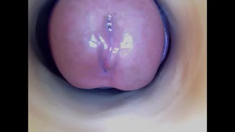 Snapshot of paulainoscente chatting on January 31, 4:47 am Paula 18 Aninhos online show from January 31, 4:47 am