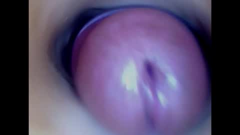 Snapshot of paulainoscente chatting on February 1, 2:34 pm Paula 18 Aninhos online show from February 1, 2:34 pm