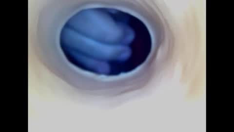 Snapshot of paulainoscente chatting on February 1, 7:44 pm Paula 18 Aninhos online show from February 1, 7:44 pm