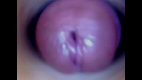 Snapshot of paulainoscente chatting on February 2, 3:54 am Paula 18 Aninhos online show from February 2, 3:54 am