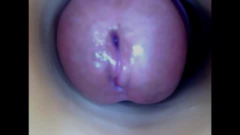 Snapshot of paulainoscente chatting on February 3, 6:34 am Paula 18 Aninhos online show from February 3, 6:34 am