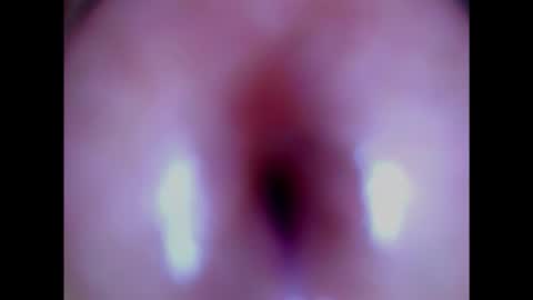 Snapshot of paulainoscente chatting on February 3, 6:07 pm Paula 18 Aninhos online show from February 3, 6:07 pm