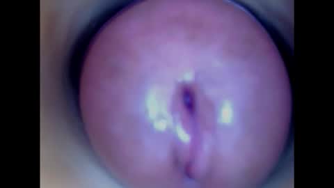 Snapshot of paulainoscente chatting on February 4, 5:10 am Paula 18 Aninhos online show from February 4, 5:10 am