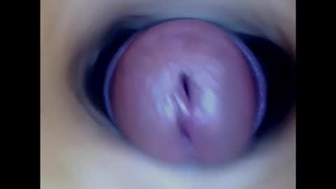 Snapshot of paulainoscente chatting on February 5, 5:52 am Paula 18 Aninhos online show from February 5, 5:52 am