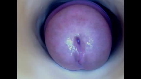 Snapshot of paulainoscente chatting on February 6, 6:08 am Paula 18 Aninhos online show from February 6, 6:08 am