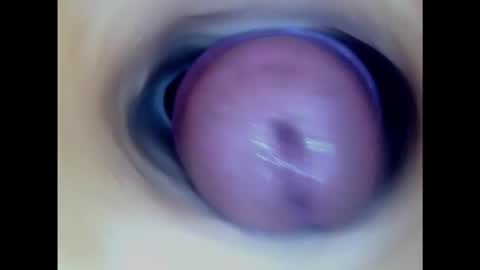 Snapshot of paulainoscente chatting on February 6, 4:03 pm Paula 18 Aninhos online show from February 6, 4:03 pm