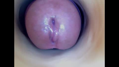 Snapshot of paulainoscente chatting on February 6, 10:32 pm Paula 18 Aninhos online show from February 6, 10:32 pm