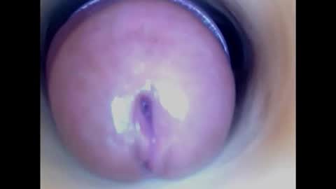 Snapshot of paulainoscente chatting on February 8, 6:22 am Paula 18 Aninhos online show from February 8, 6:22 am