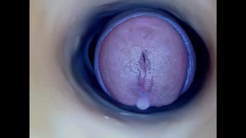 Snapshot of paulainoscente chatting on February 8, 5:50 pm Paula 18 Aninhos online show from February 8, 5:50 pm