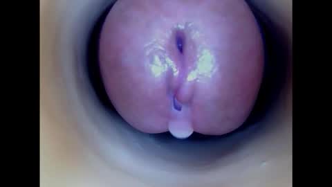 Snapshot of paulainoscente chatting on February 8, 11:13 pm Paula 18 Aninhos online show from February 8, 11:13 pm