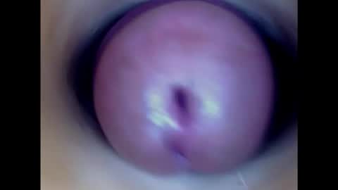 Snapshot of paulainoscente chatting on February 11, 11:01 pm Paula 18 Aninhos online show from February 11, 11:01 pm