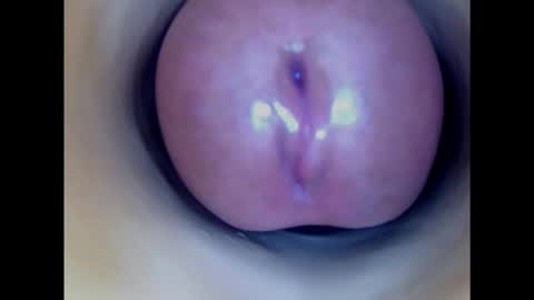 Snapshot of paulainoscente chatting on February 12, 5:15 am Paula 18 Aninhos online show from February 12, 5:15 am