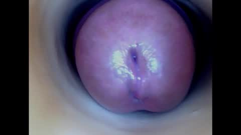 Snapshot of paulainoscente chatting on February 14, 4:52 pm Paula 18 Aninhos online show from February 14, 4:52 pm