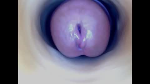 Snapshot of paulainoscente chatting on February 16, 9:48 pm Paula 18 Aninhos online show from February 16, 9:48 pm