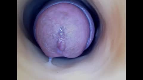 Snapshot of paulainoscente chatting on February 17, 4:42 am Paula 18 Aninhos online show from February 17, 4:42 am