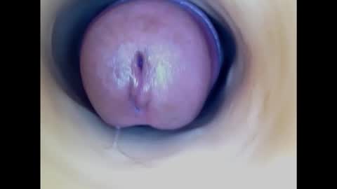 Snapshot of paulainoscente chatting on February 19, 5:05 am Paula 18 Aninhos online show from February 19, 5:05 am