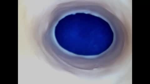 Snapshot of paulainoscente chatting on February 20, 3:01 am Paula 18 Aninhos online show from February 20, 3:01 am