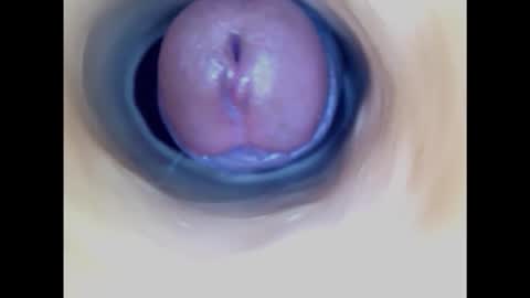 Snapshot of paulainoscente chatting on February 20, 4:36 pm Paula 18 Aninhos online show from February 20, 4:36 pm