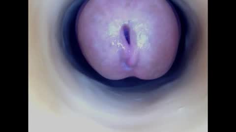 Snapshot of paulainoscente chatting on February 21, 4:18 am Paula 18 Aninhos online show from February 21, 4:18 am