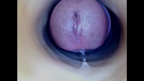 Snapshot of paulainoscente chatting on February 21, 4:48 pm Paula 18 Aninhos online show from February 21, 4:48 pm