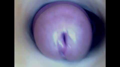 Snapshot of paulainoscente chatting on February 23, 2:51 am Paula 18 Aninhos online show from February 23, 2:51 am