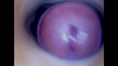 Snapshot of paulainoscente chatting on February 24, 1:24 am Paula 18 Aninhos online show from February 24, 1:24 am