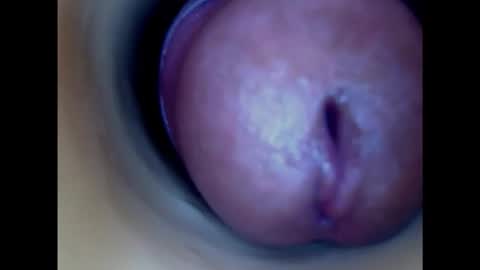 Snapshot of paulainoscente chatting on February 24, 4:27 am Paula 18 Aninhos online show from February 24, 4:27 am