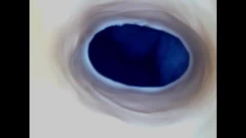 Snapshot of paulainoscente chatting on March 2, 2:19 am Paula 18 Aninhos online show from March 2, 2:19 am