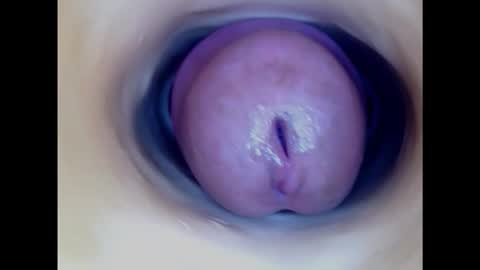 Snapshot of paulainoscente chatting on March 2, 7:12 pm Paula 18 Aninhos online show from March 2, 7:12 pm