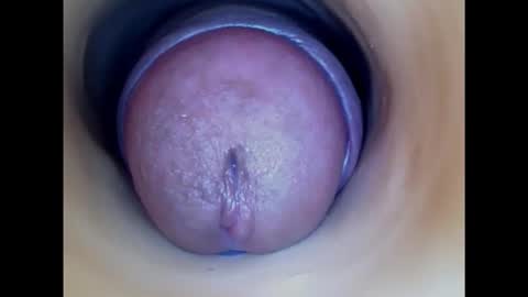 Snapshot of paulainoscente chatting on October 12, 1:37 am Paula 18 Aninhos online show from October 12, 1:37 am